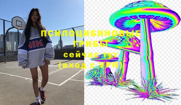 MESCALINE Гусев