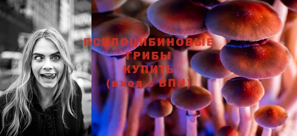 дмт Гусиноозёрск