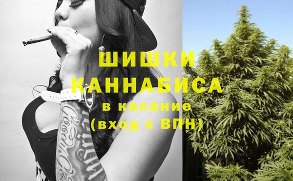 стаф Гусь-Хрустальный