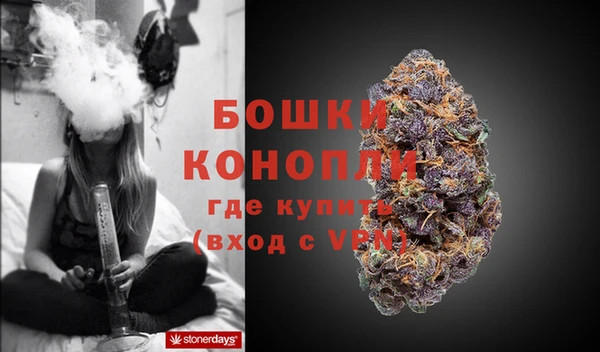 стаф Гусь-Хрустальный