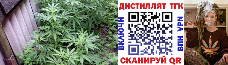 Дистиллят ТГК вейп  Купить закладки  Рассказово 