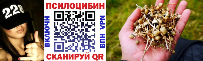 Галлюциногенные грибы GOLDEN TEACHER  Купить закладки  Рассказово 